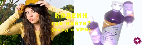 гидра Арсеньев