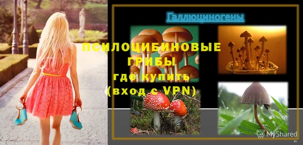 первитин Алексеевка